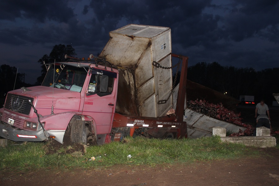 El camión a la vera de la ruta tras la maniobra que realizó su conductor para evitar el impacto.