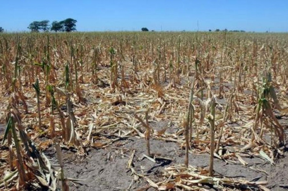 Piden al gobierno de la Provincia que declare la emergencia agropecuaria en Cañuelas