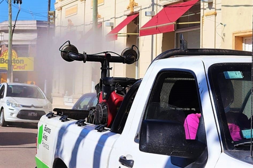 Fumigaron para combatir la invasión de mosquitos