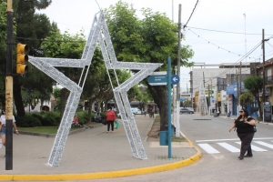 El árbol de fondo y una estrella fugaz en la esquina del municipio.