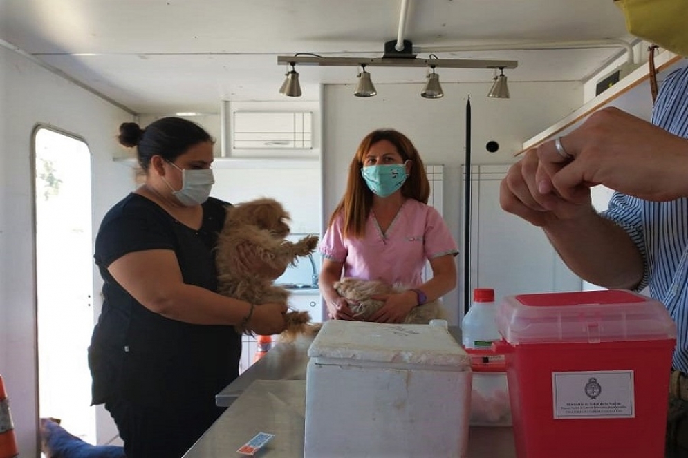 El viernes el trailer veterinario regresará al Guzzetti para continuar con la vacunación, de 9 a 12 horas.