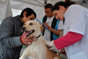 Nueva semana del operativo de Sanidad Animal en distintas localidades