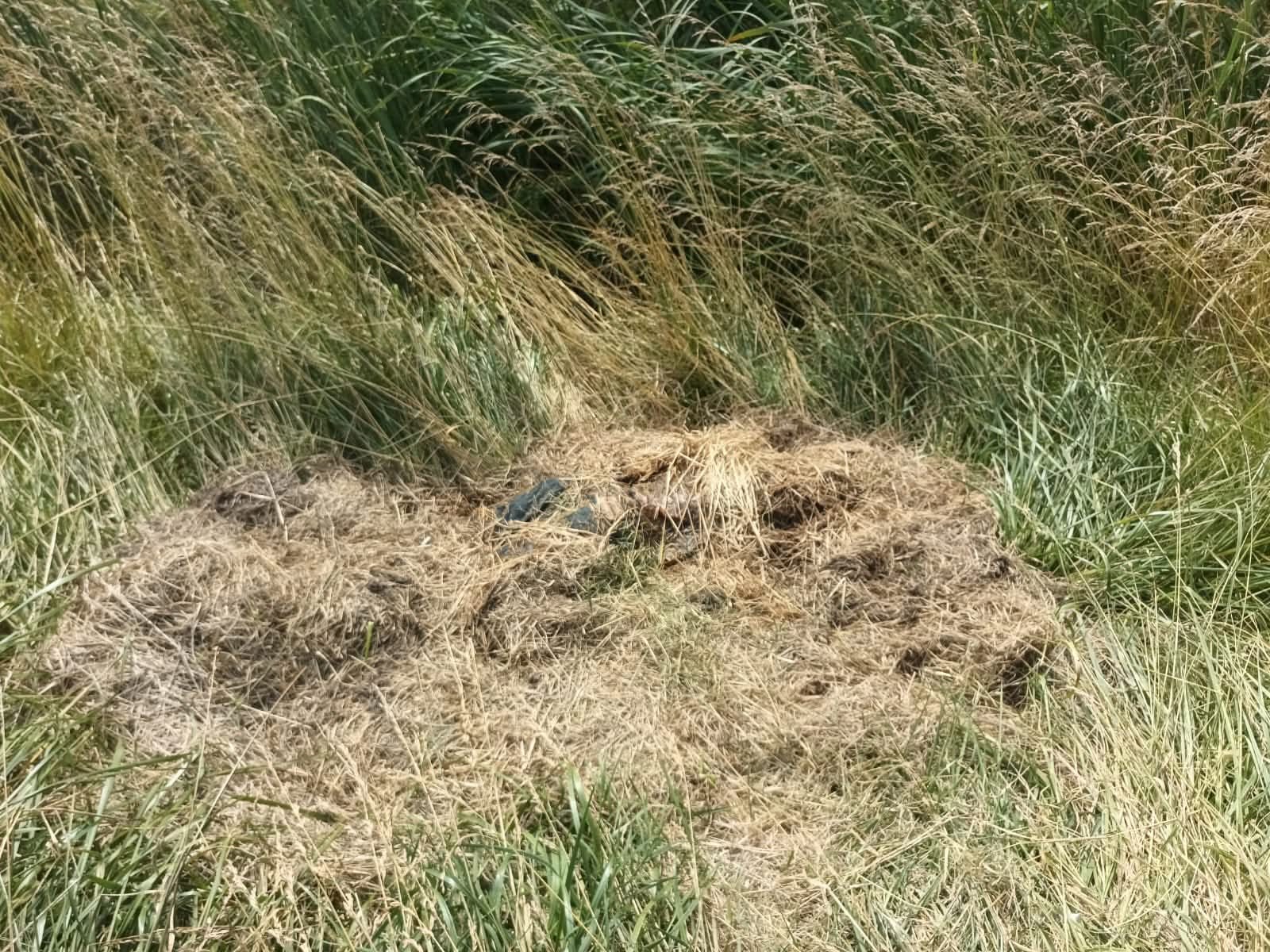 Imagen de WhatsApp 2025 11 28 a las 22.58.03 678f4f38