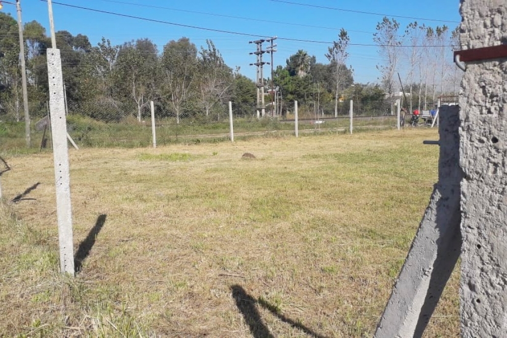 Delincuentes robaron el alambrado de un terreno