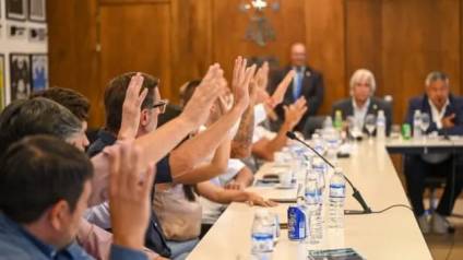 Paro en el fútbol: el Ascenso se pronunció a favor de la AFA