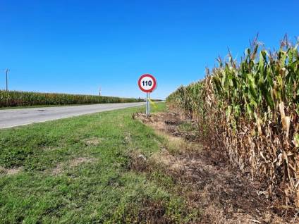 Buscan que los municipios puedan alquilar las banquinas de las rutas para sembrar soja