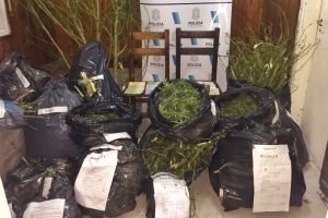 Más de 100 kilos de marihuana en la Comisaría 2° de Máximo Paz.