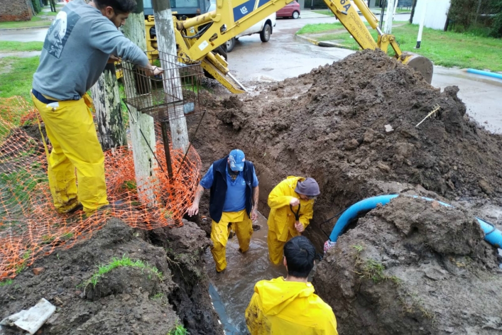 Los trabajadores de ABSA en acción.