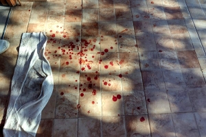 La sangre de Olga en el porche de la casa.