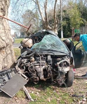 El 207 chocó frontalmente contra un robusto árbol.
