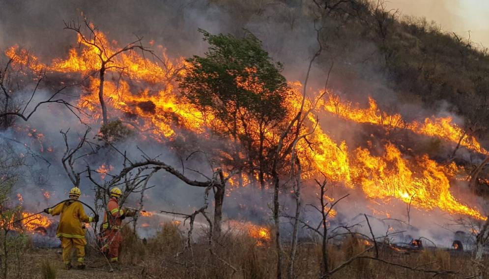 La Provincia de Córdoba declaró el desastre agropecuario por incendios.