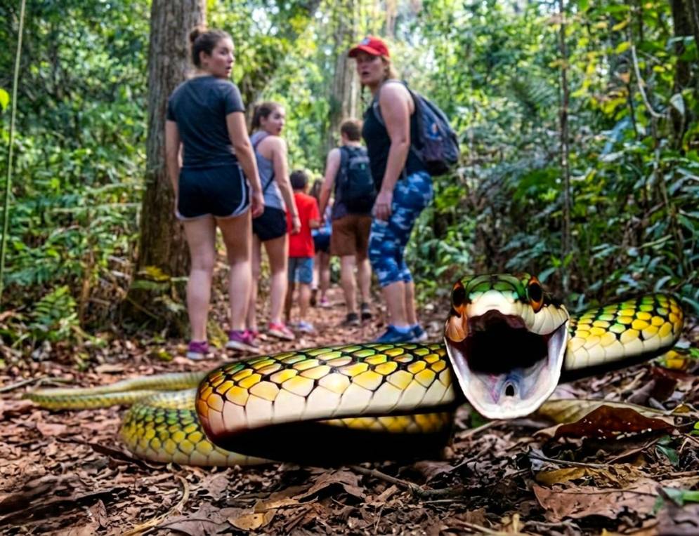 No se comprob&oacute; que tipo de serpiente fue la que atac&oacute; a Betania en sus vacaciones. 