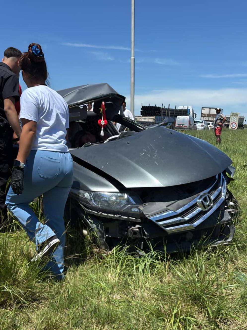 Terminó entre los pastizales.