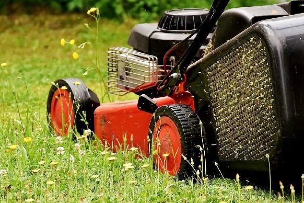 Los propietarios deben permanecer dentro del hogar mientras el parquero realiza su trabajo.