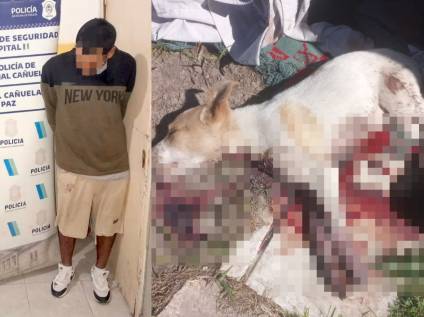 Brutal ataque: un hombre detenido tras agredir a su ex pareja y degollar a la mascota familiar