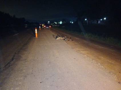 Un ciclista murió tras ser embestido por una camioneta en la Ruta 205